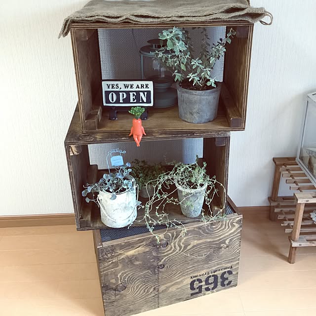takamamimi0416さんの実例写真
