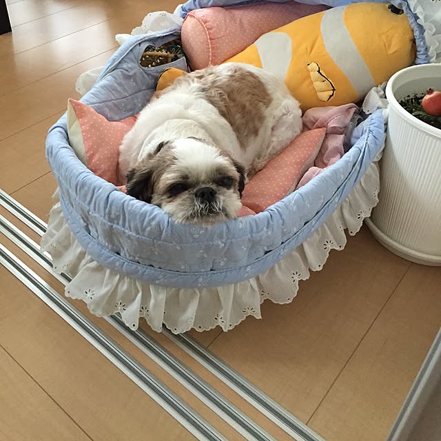 emiさんの実例写真