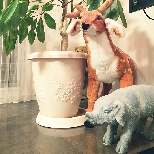 hiroeさんの実例写真