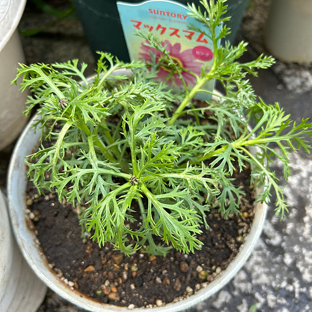 fumikoiさんの部屋