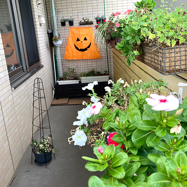 marukoさんの実例写真