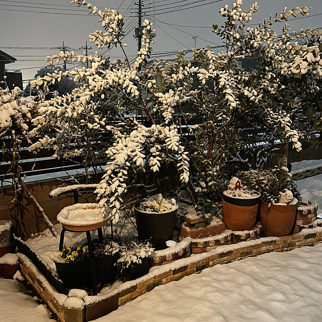 ronronさんの部屋