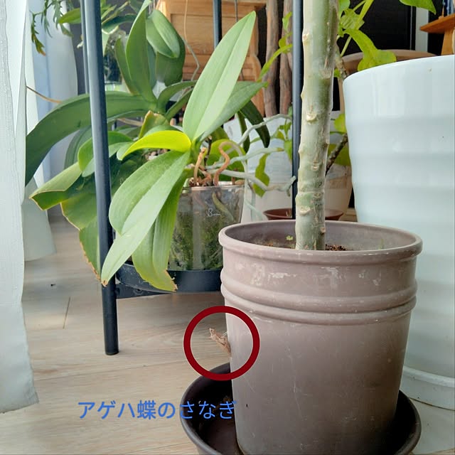 reko639さんの部屋