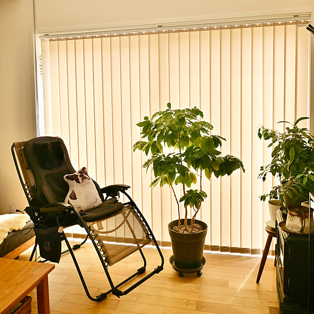 mikigumaさんの実例写真