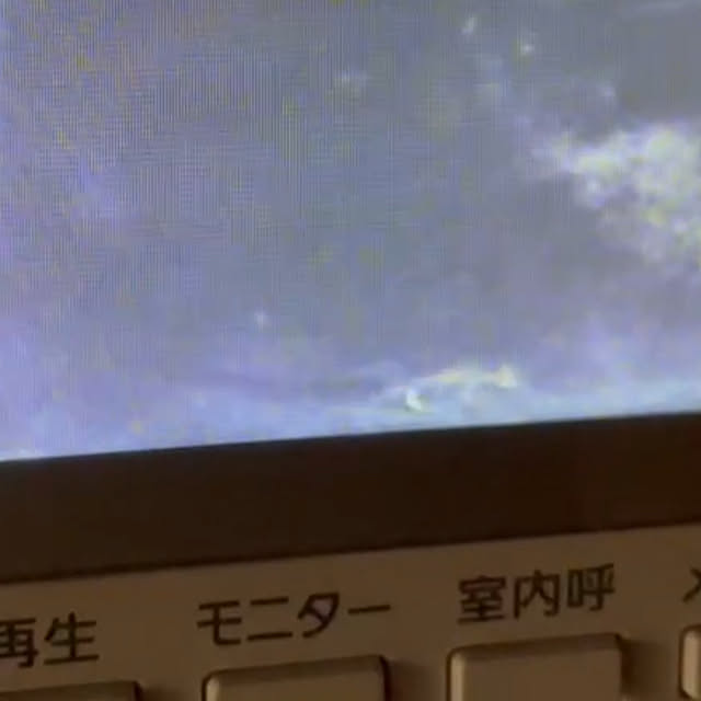 nekosamaさんの部屋