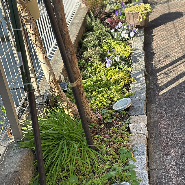 omasaさんの実例写真