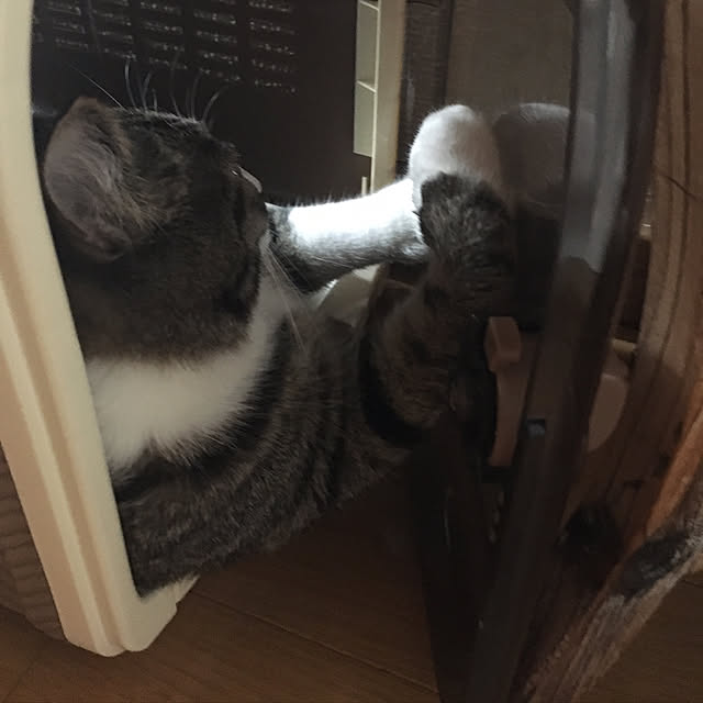 kimikimiさんの実例写真