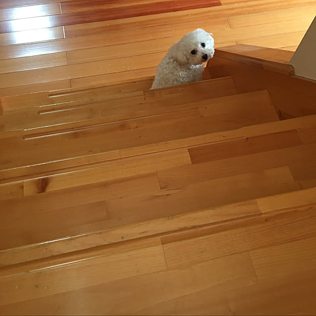 kakoさんの実例写真