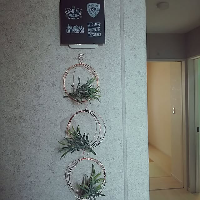 sarasvatiさんの実例写真