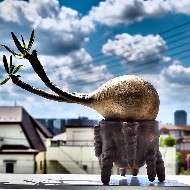 SUZUQNETさんの実例写真
