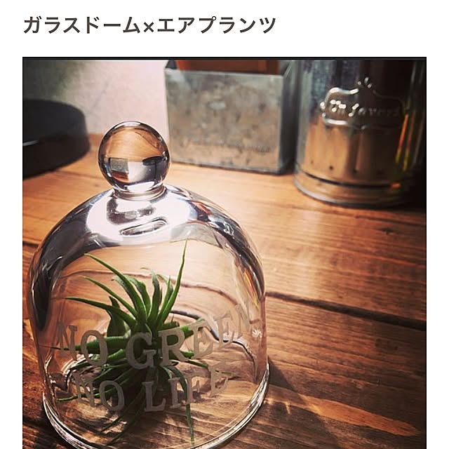 ankoさんの実例写真