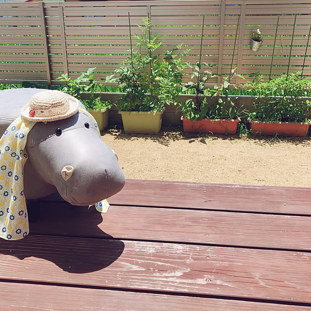 mangoさんの実例写真