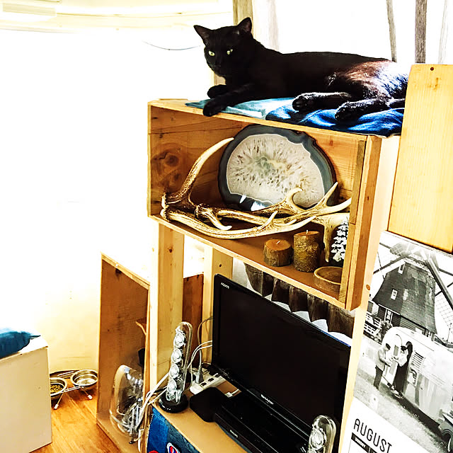 SeeBlueさんの実例写真