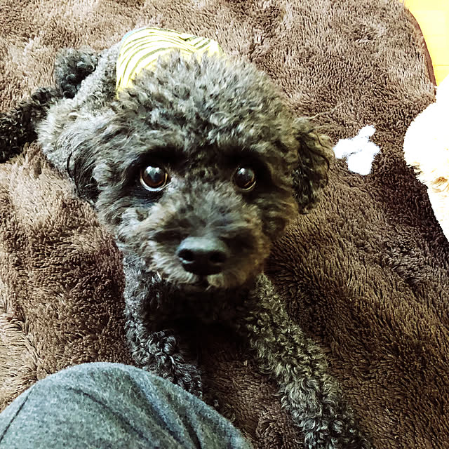 Aoiさんの実例写真
