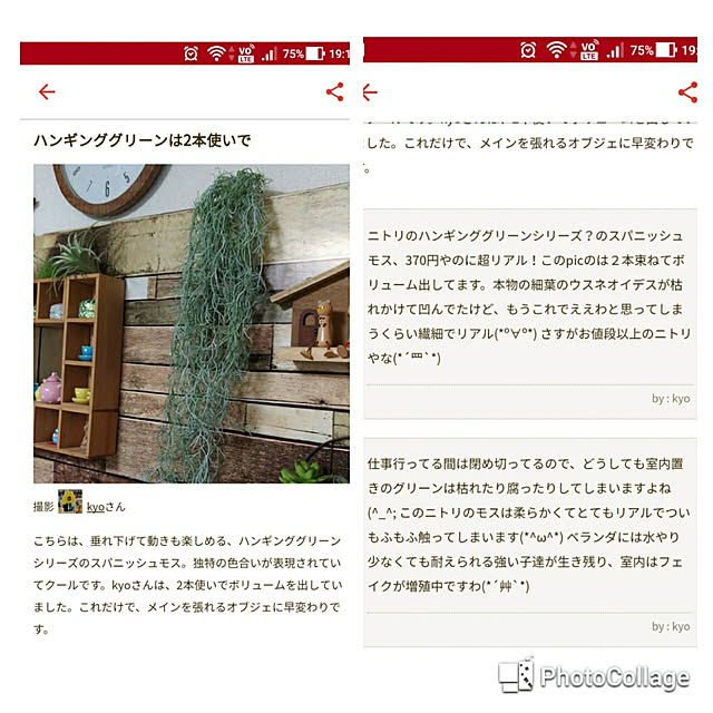 kyoさんの実例写真