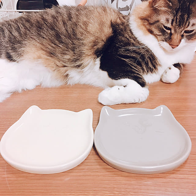 壁/天井のインテリア実例 - 2019-05-31 10:37:53