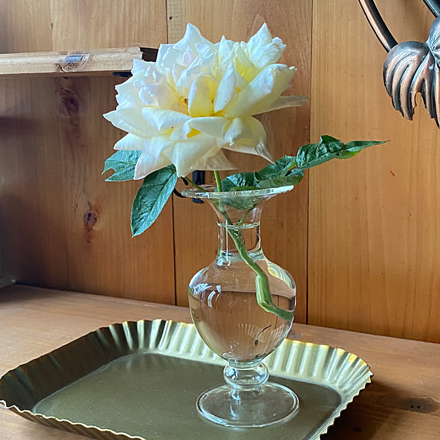 mintteaさんの部屋