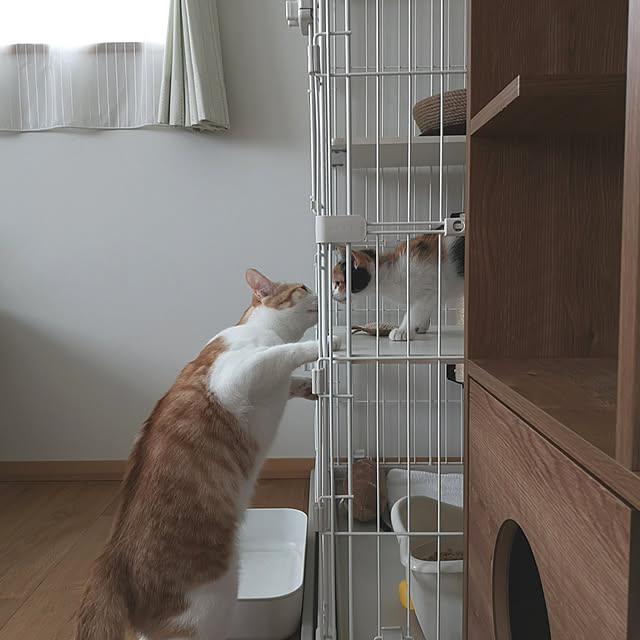koyurizuさんの実例写真