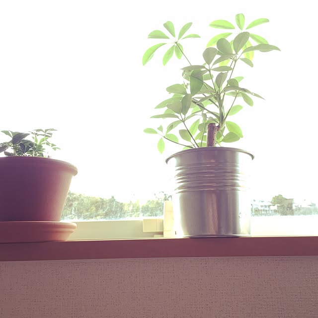 Mjさんの実例写真