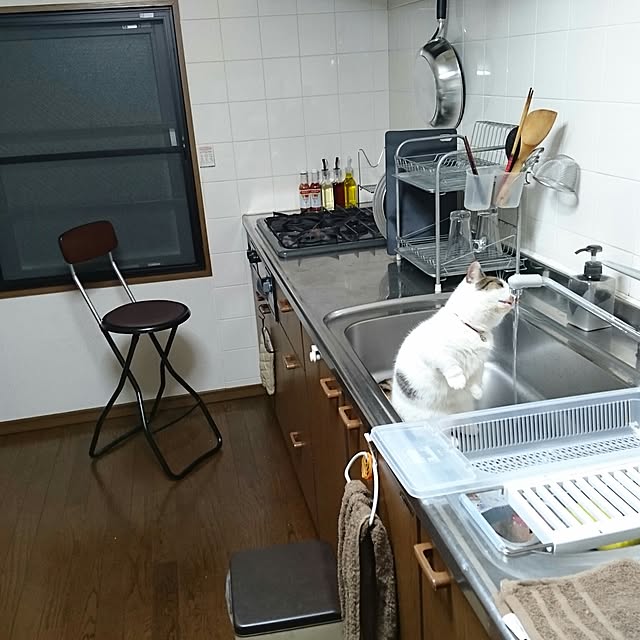 mine-catsさんの実例写真