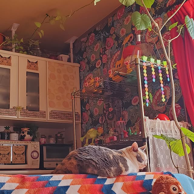 kumutanさんの実例写真