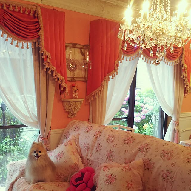 yuuandkoroさんの実例写真