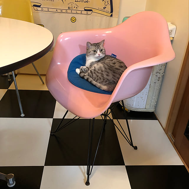 Shojiさんの実例写真