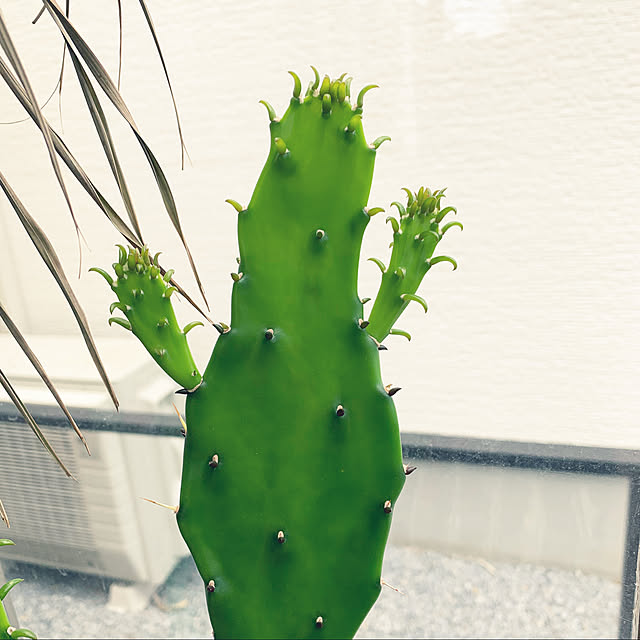 Maさんの実例写真