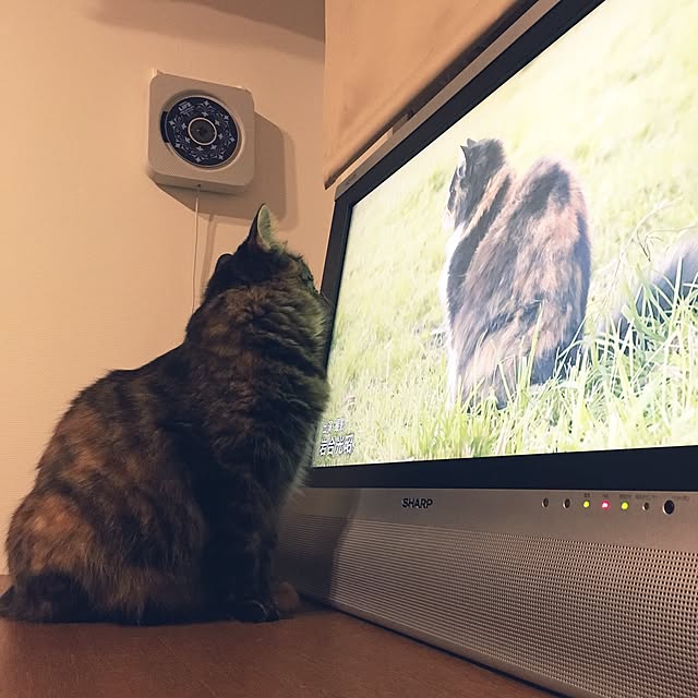 mikomaruさんの実例写真