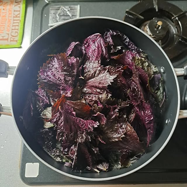 shinoさんの部屋