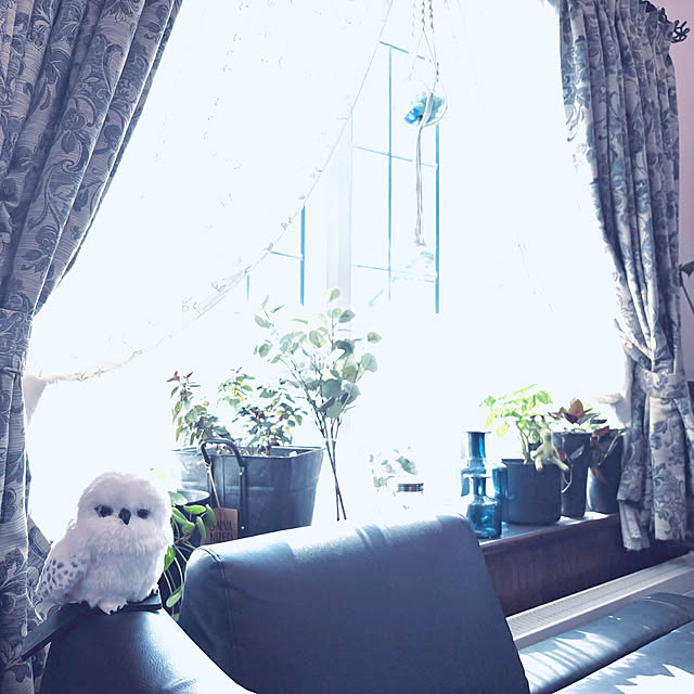 usagiさんの部屋