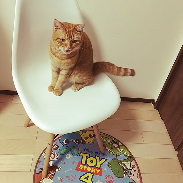 nekoさんの実例写真