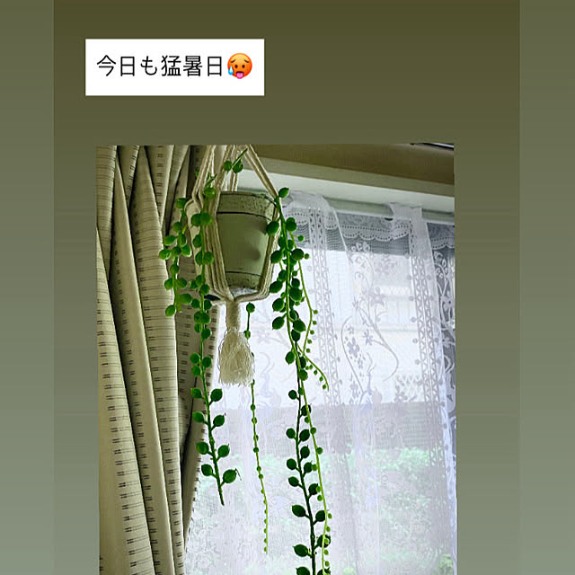 YuuKoさんの実例写真