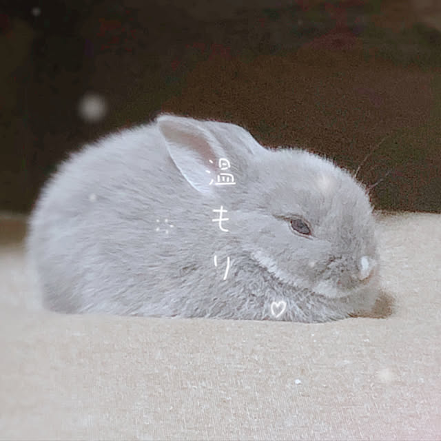 morimimiさんの実例写真