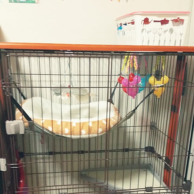ayaさんの実例写真