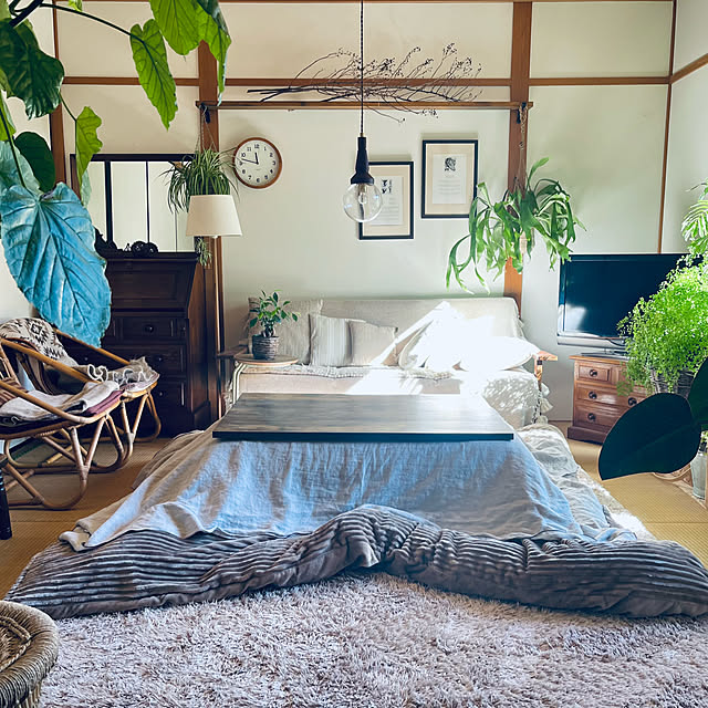 部屋全体/今年もよろしくお願いします♡/こたつ/いつもいいねありがとうございます/寒くなりましたね...などのインテリア実例 - 2025-01-05 08:30:31