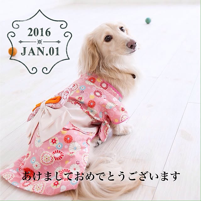 Erinさんの実例写真