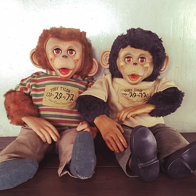 tsukushinboさんの実例写真