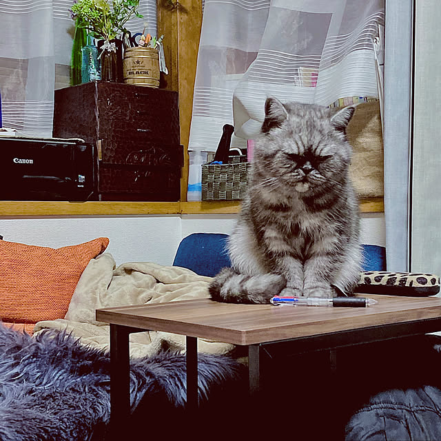 Marinさんの実例写真