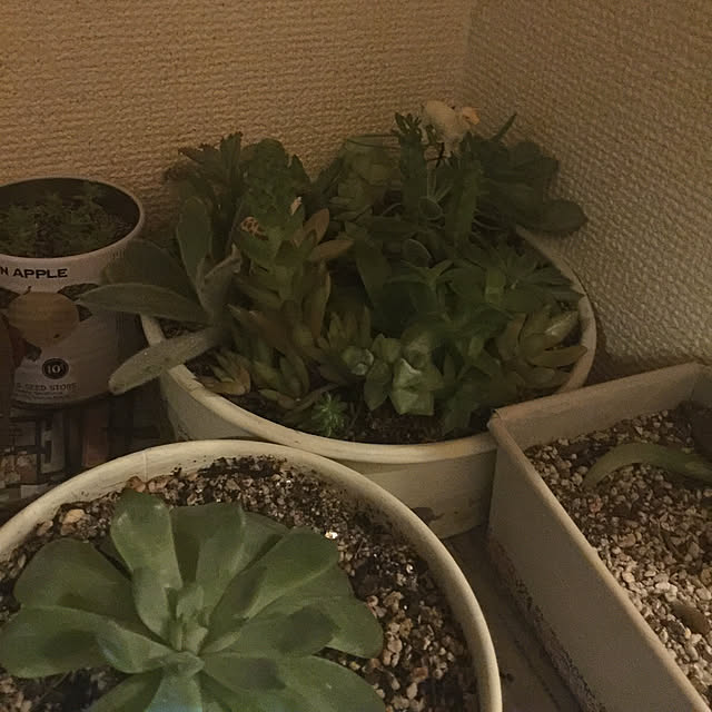 kojiro120513さんの実例写真