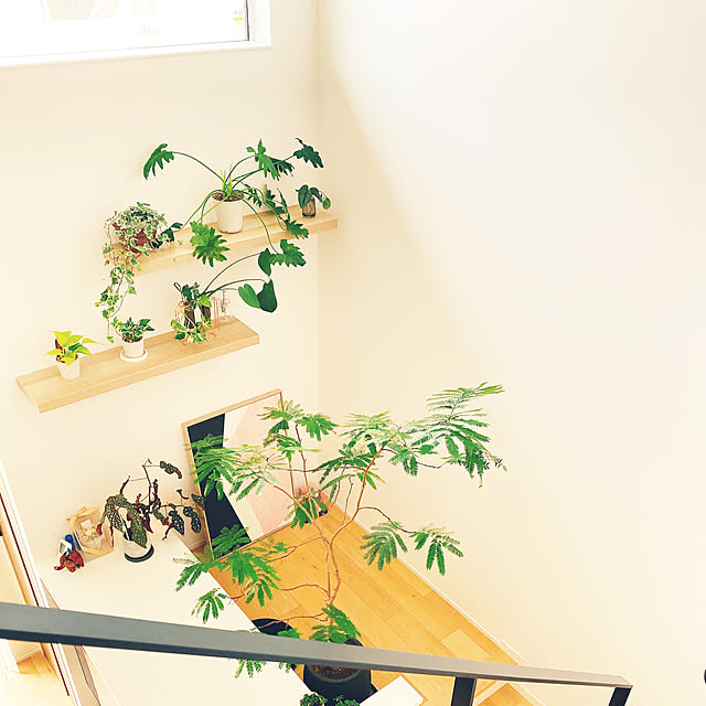 ron-anさんの部屋