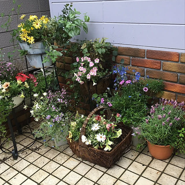 claさんの実例写真