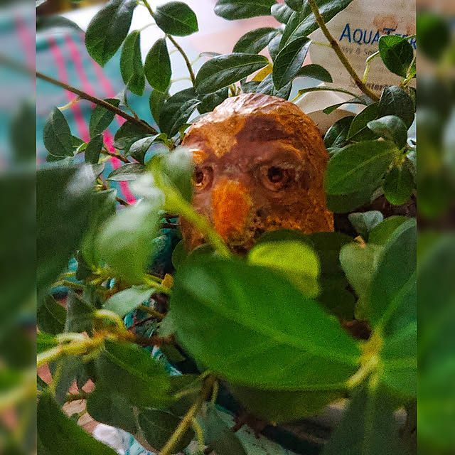 kyooonさんの実例写真