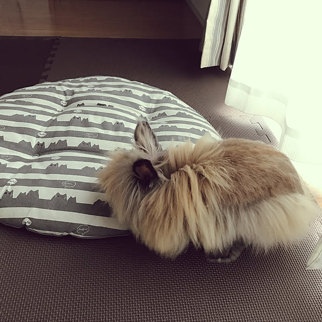 mさんの実例写真