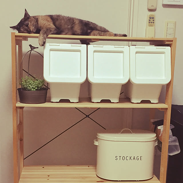 Chiharuさんの実例写真