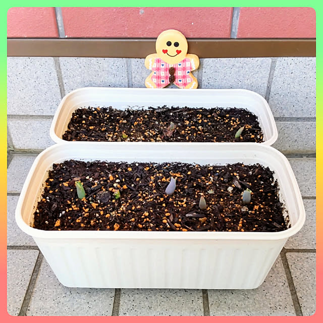 nanaさんの実例写真