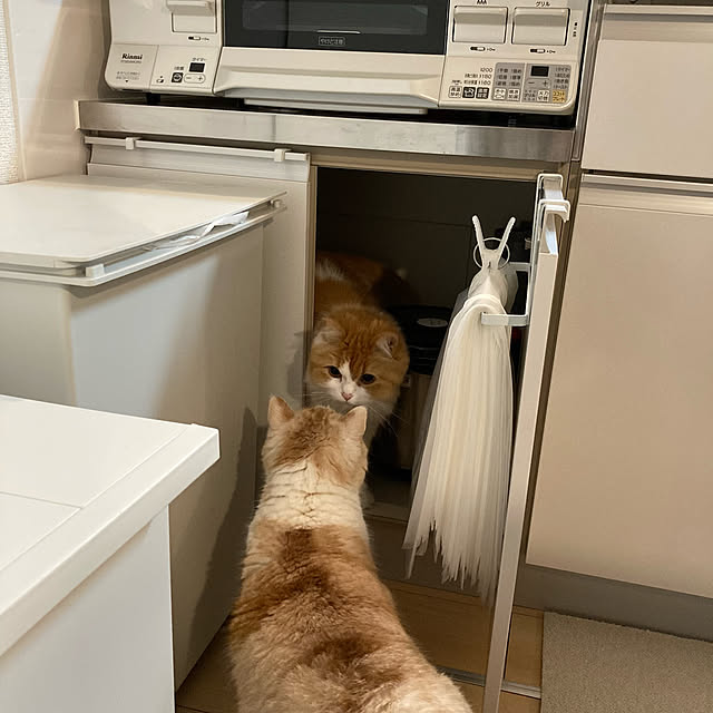 H.Tさんの実例写真