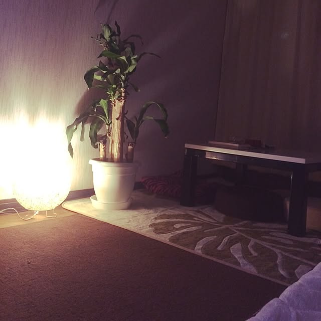 muwaさんの実例写真