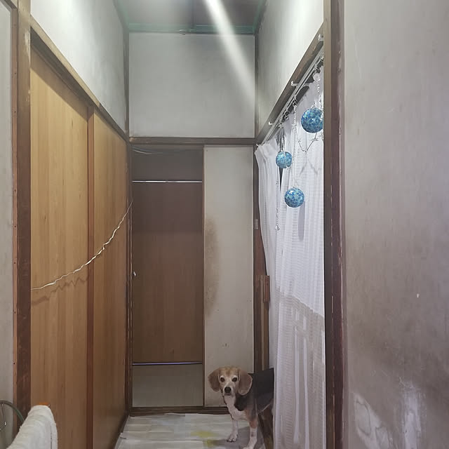 shihokoさんの実例写真