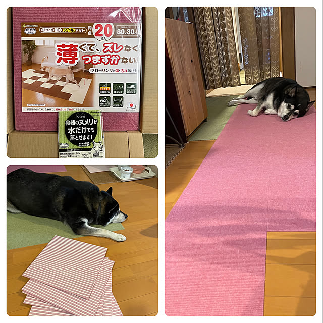 Nezuさんの実例写真